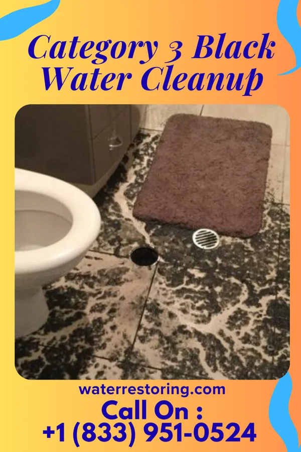 Category 3 Black Water Cleanup in Radley, KS